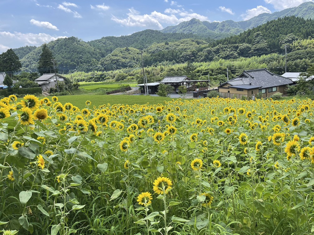 天下野2区RVパーク捨吉写真